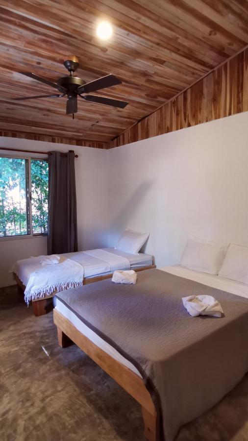 Armadillo Eco Bungalows - Santa Teresa Playa Santa Teresa  Exterior photo
